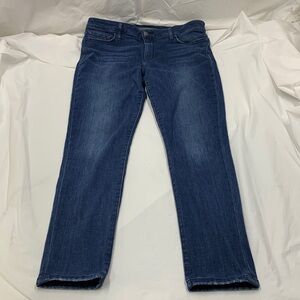 Women Joe’s Jeans Alta Vista Blue Wash Skinny Jeans Size 32